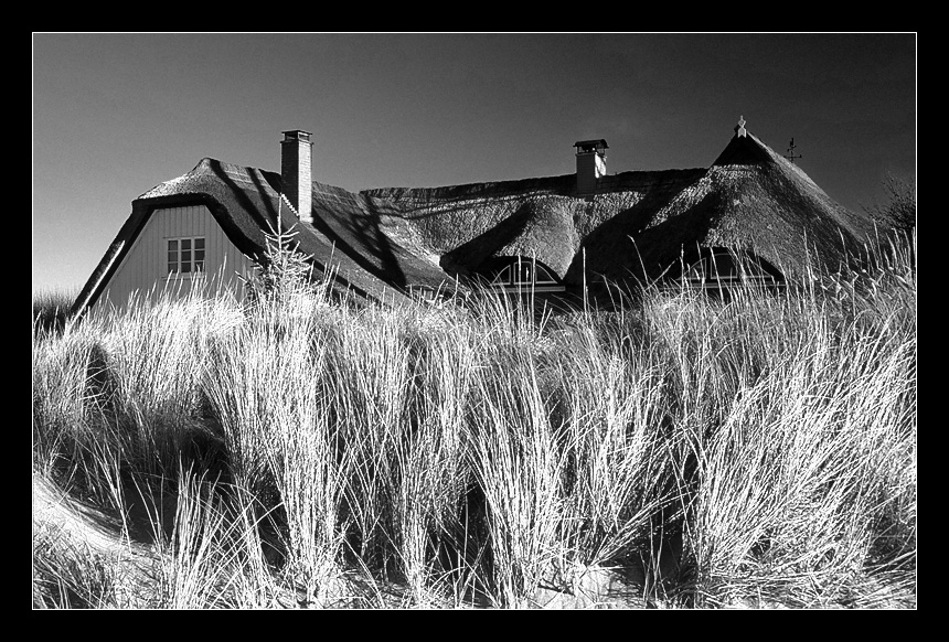 Ahrenshoop - "Zum Windflüchter" bw