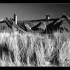 Ahrenshoop - "Zum Windflüchter" bw