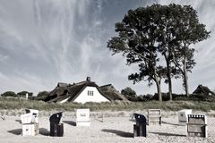 AhrenshoopStrand1