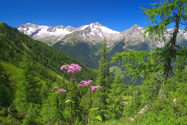 Ahrntal in Südtirol