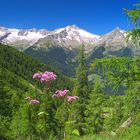 Ahrntal in Südtirol