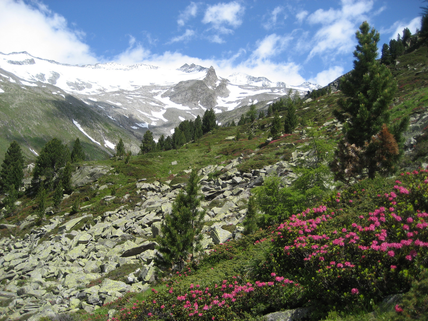 Ahrntal - Südtirol