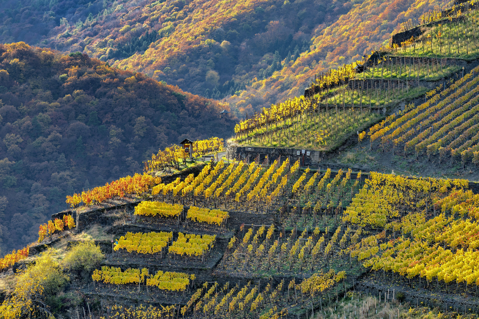 *Ahrtal @ Kulturlandschaft Weinbergsterrassen*