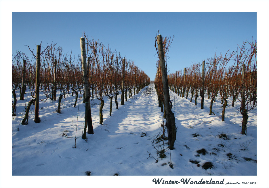 Ahrweiler 10.01.2009_05