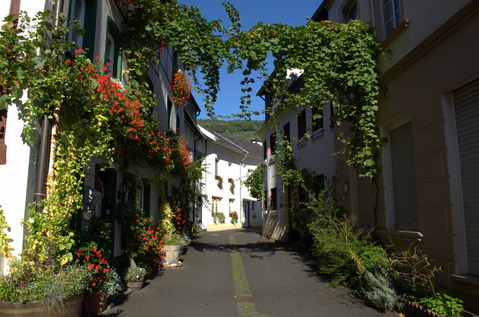 Ahrweiler_1