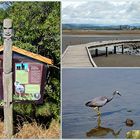 ..Ahuriri Estuary Walk 1..