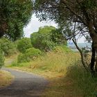 ..Ahuriri Estuary Walk 3..