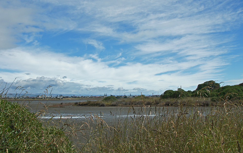 ..Ahuriri Estuary Walk 5..