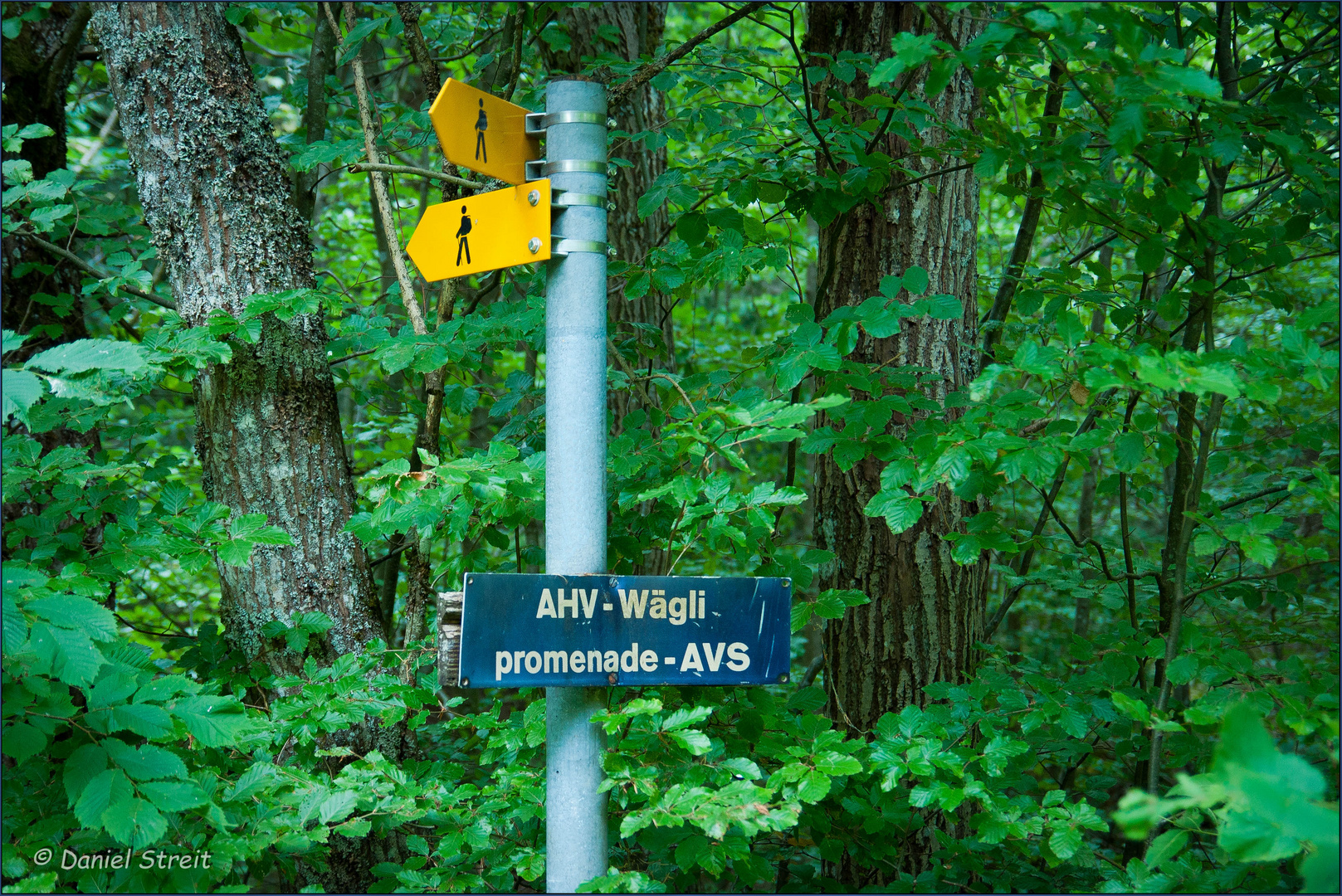 AHV- Wägli