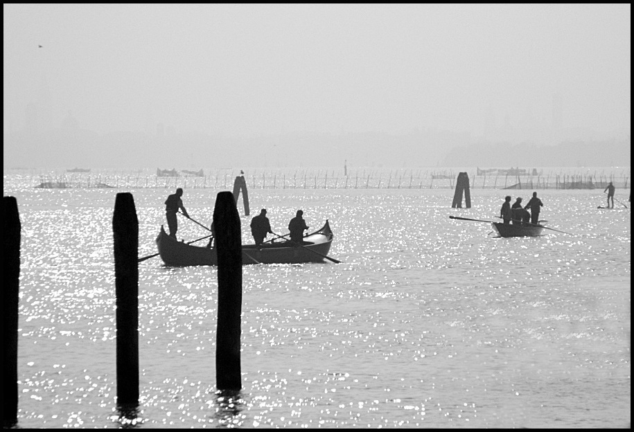 Ai bordi della laguna - 2