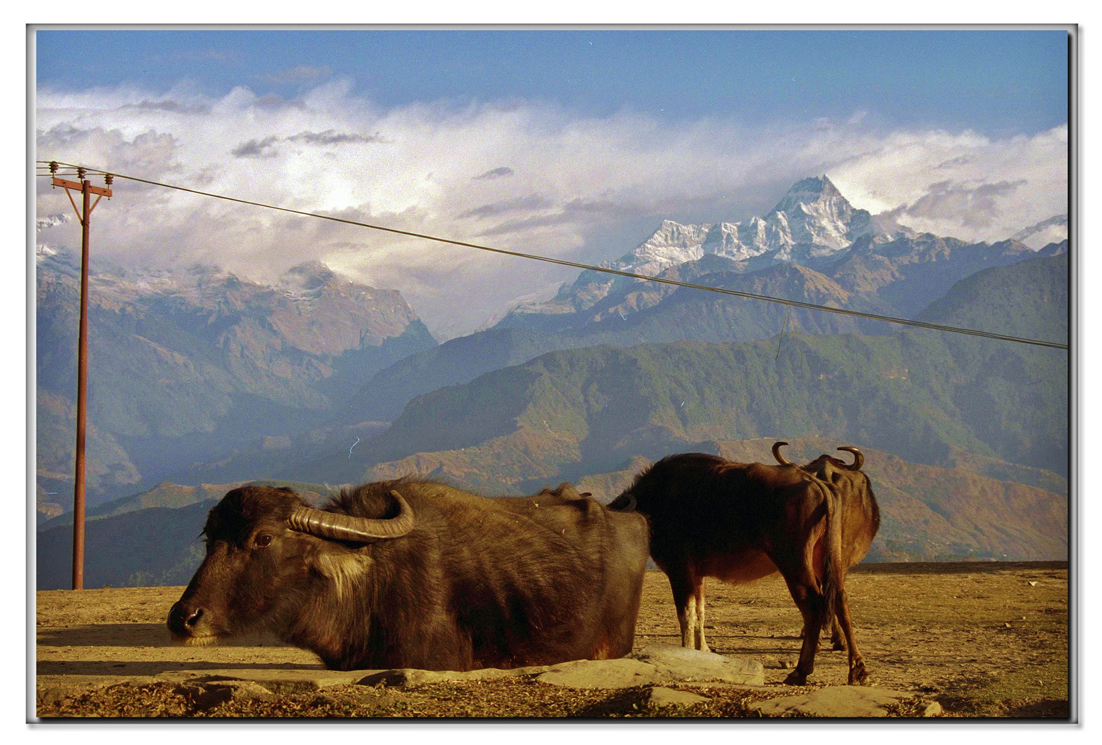 ai piedi del anapurna (+8000m )