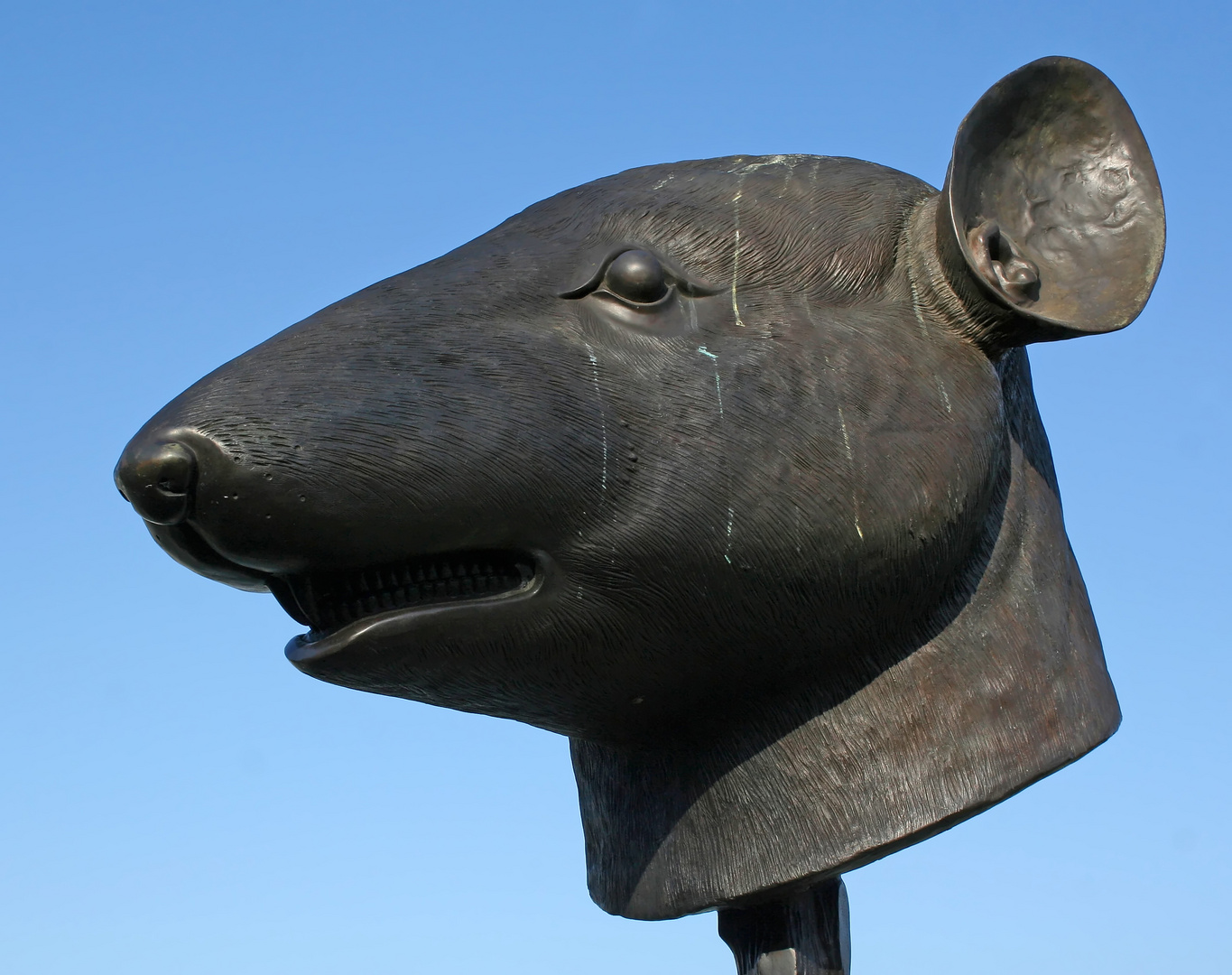 Ai Weiwei: Ratte aus dem "Circle of Animals/Zodiac Heads" im Belvedere