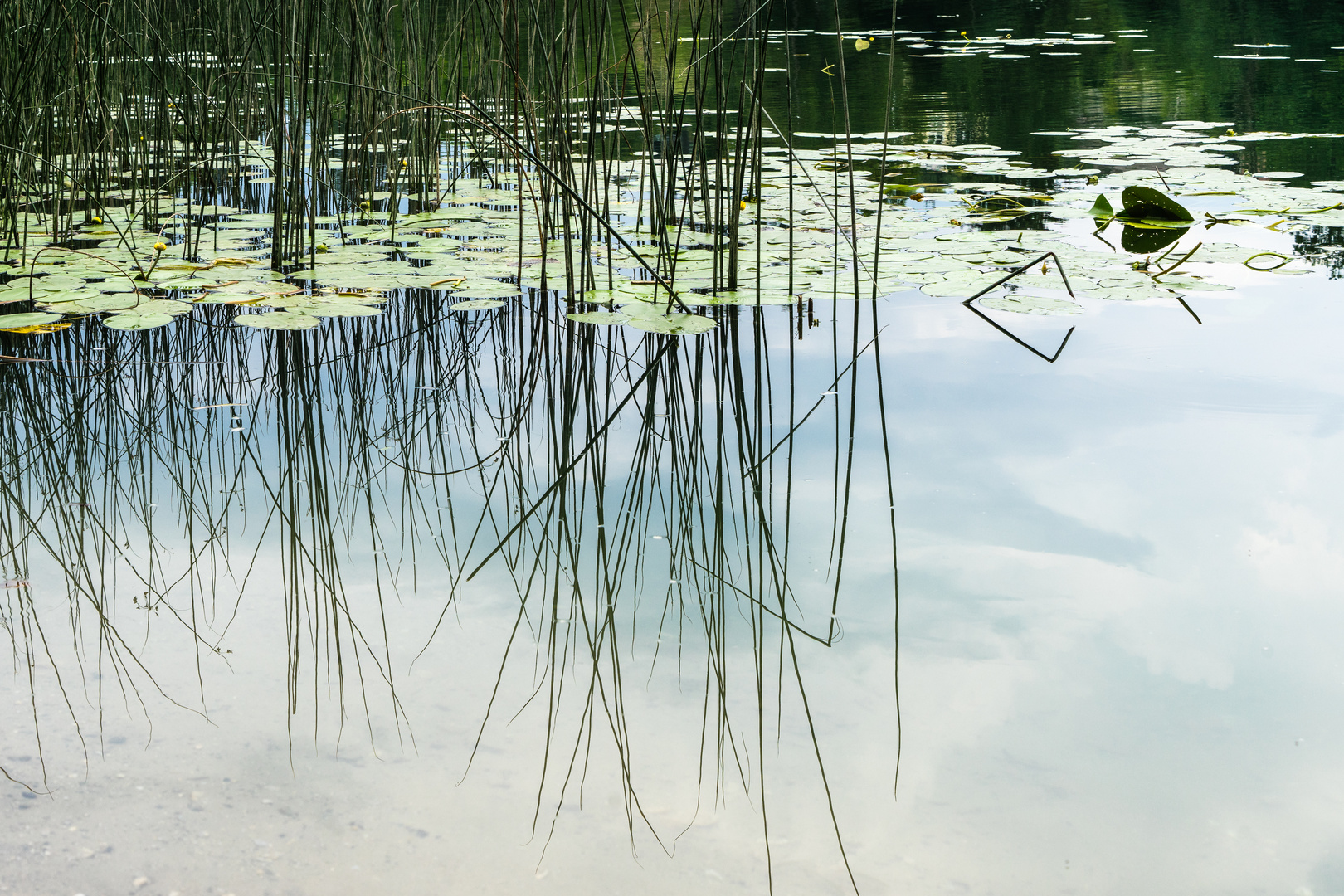 Aichwaldsee