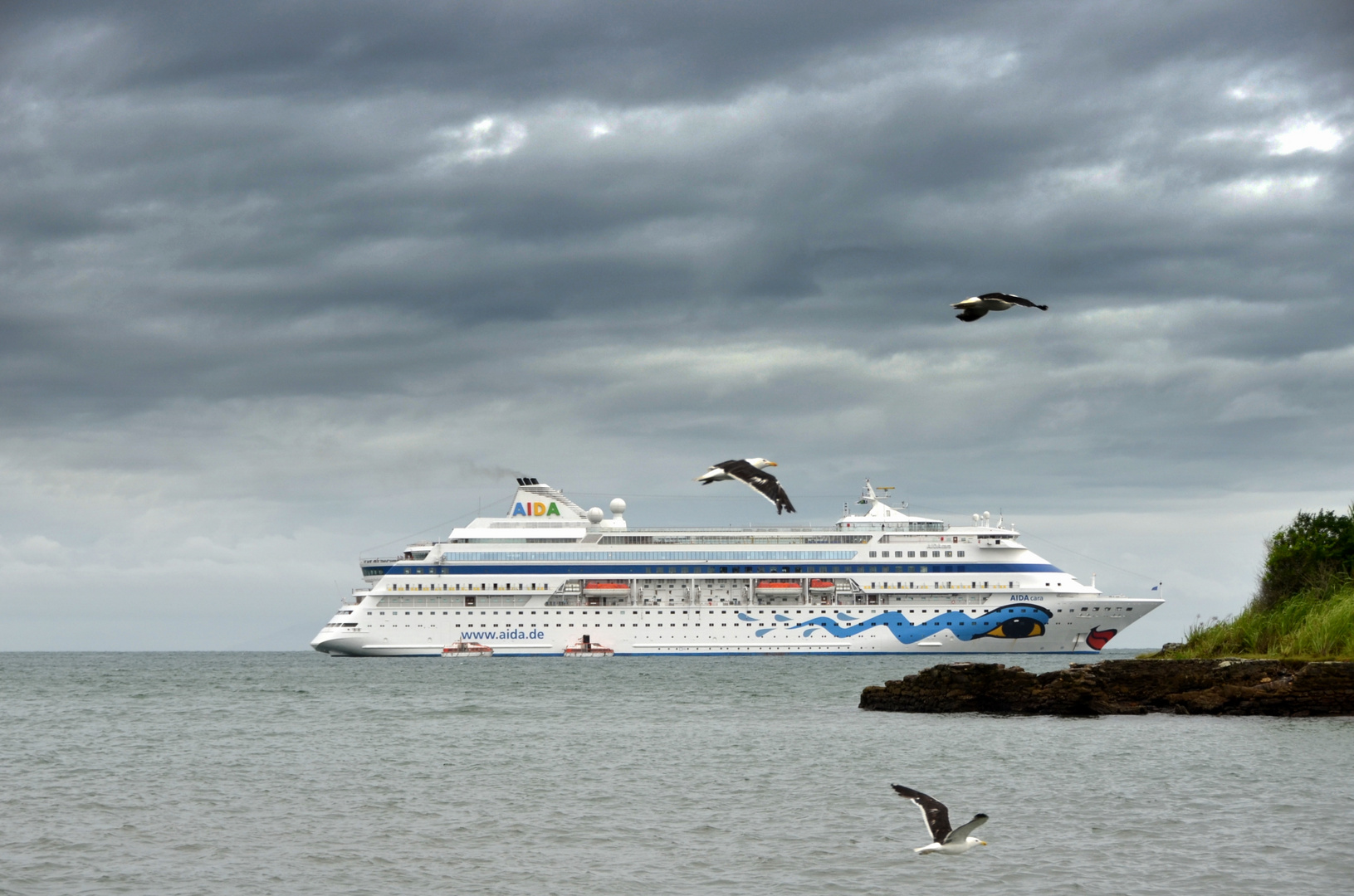 Aida Cara in Brasilien