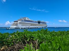 AIDA diva in Ocho Rios