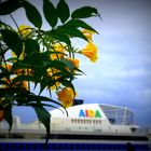 AIDA in Funchal