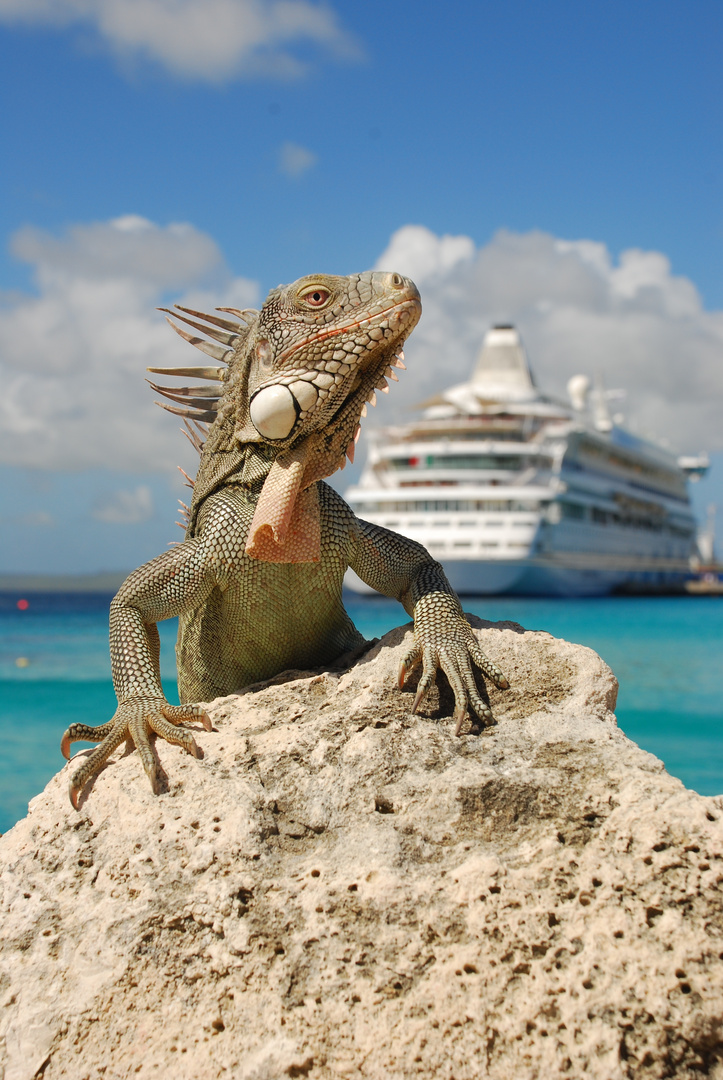 AIDA Kreuzfahrt-Hafen Bonaire