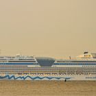 Aida Luna bei schlechten Wetter auf der Elbe