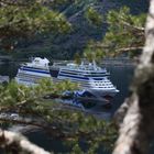 AIDA luna im Juni 2012 vor Eidfjord