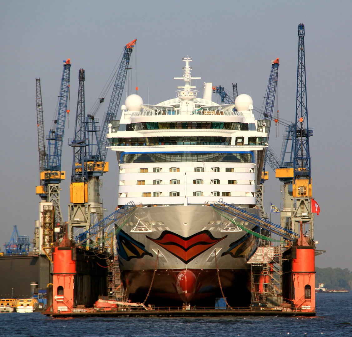 AIDA Luna Trockengelegt