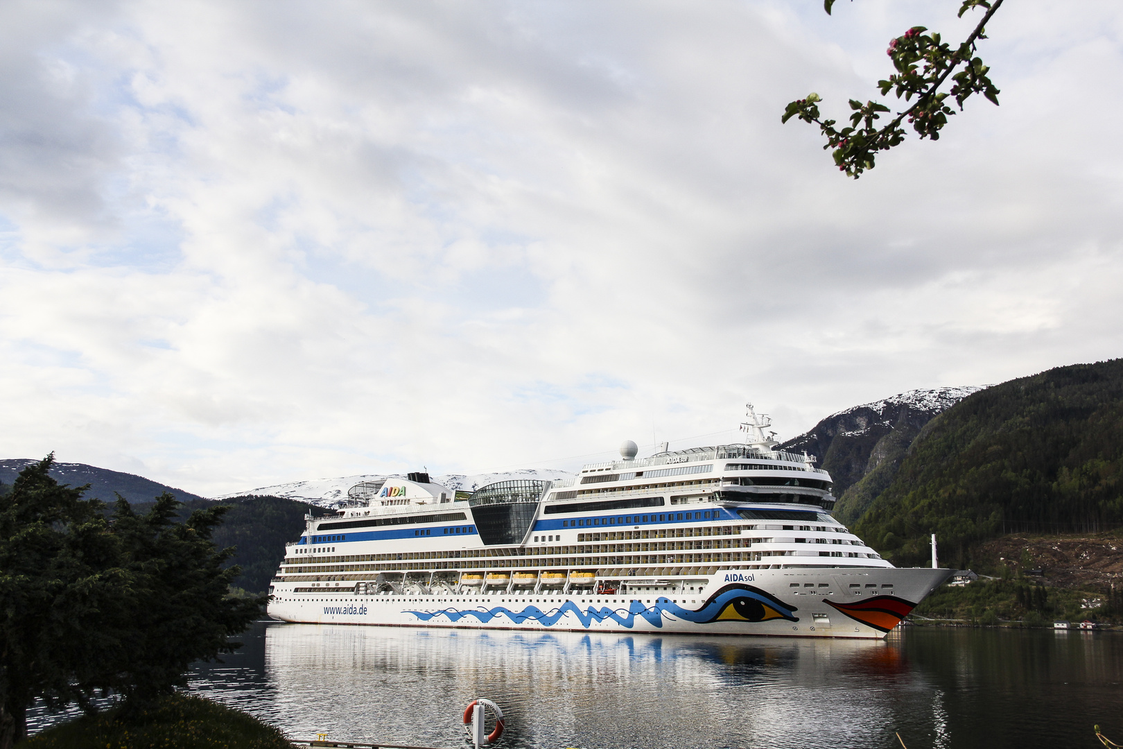 Aida sol im Hafen vor Ulvik