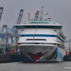 AIDAaura am Cruise Terminal Hamburg-Steinwerder 