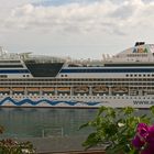 AIDAbella im Hafen von Madeira