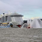 AIDAcosma - Erstanlauf in Hamburg