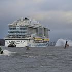 AIDAcosma kurz vor dem Hafen