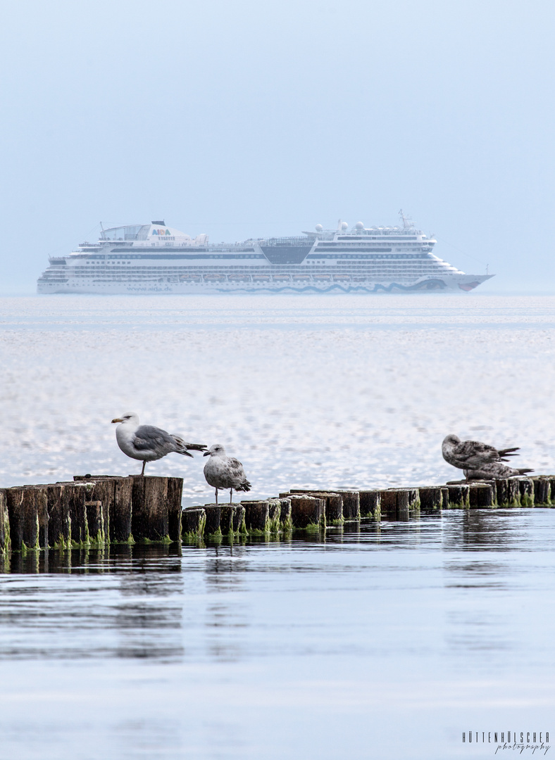 AIDAmar Warnemünde