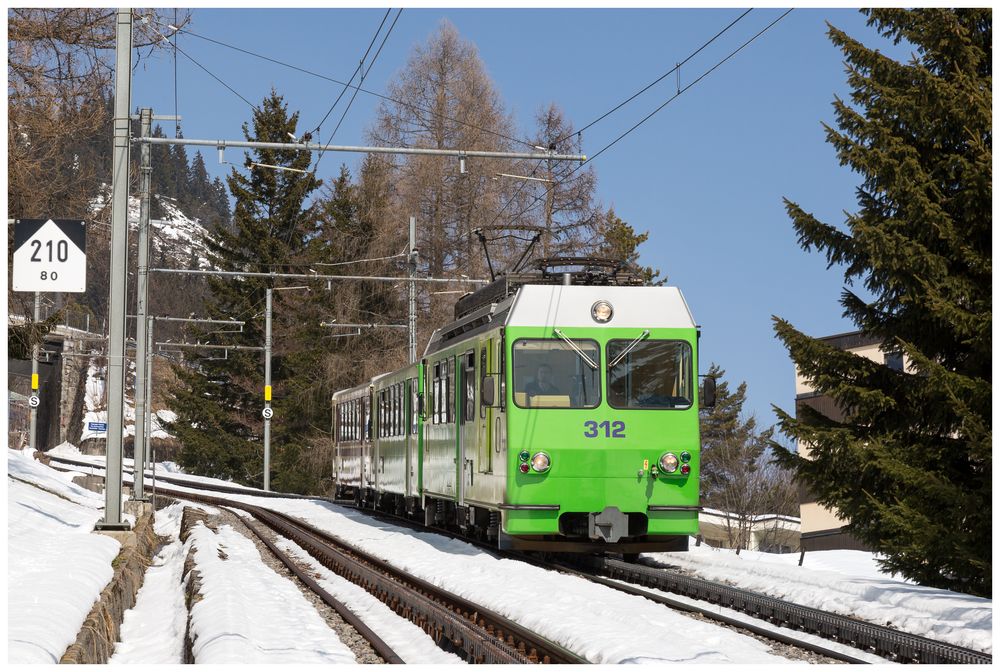 Aigle - Leysin