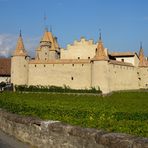 AIGLE: son château et ses vignes / su castillo y su viñedo / seine Burg & sein Weinberg..01