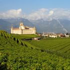 AIGLE: son château et ses vignes / su castillo y su viñedo / seine Burg und sein Weinberg..02