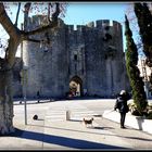 AIGUES MORTES - 1 - 