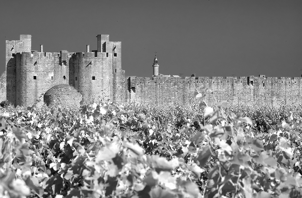 Aigues Mortes