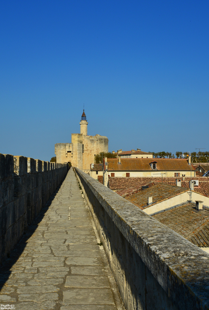 Aigues Mortes