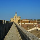 Aigues Mortes