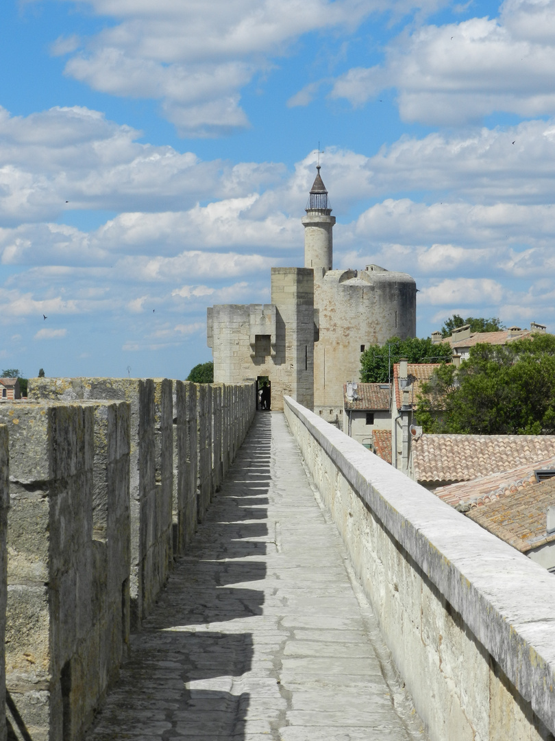 Aigues Mortes !