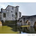 Aigues - Mortes - Camargue -3-