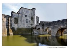 Aigues - Mortes - Camargue -3-