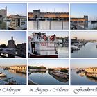 Aigues - Mortes- Camargue-C2-