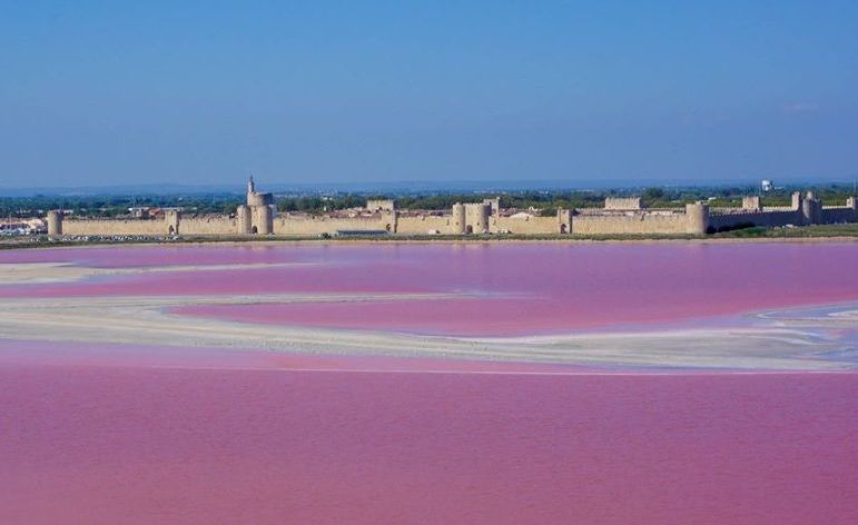 Aigues Mortes, depuis les Salins !