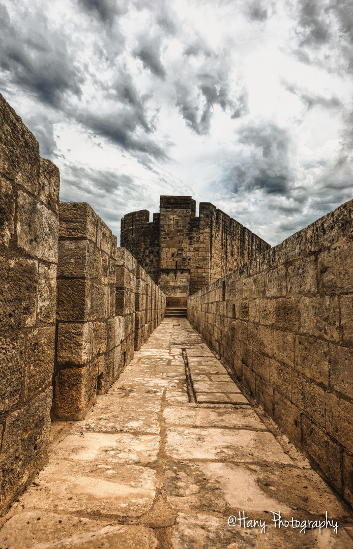 Aigues Mortes, La Camargue