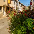 Aigues Mortes - Totes Wasser