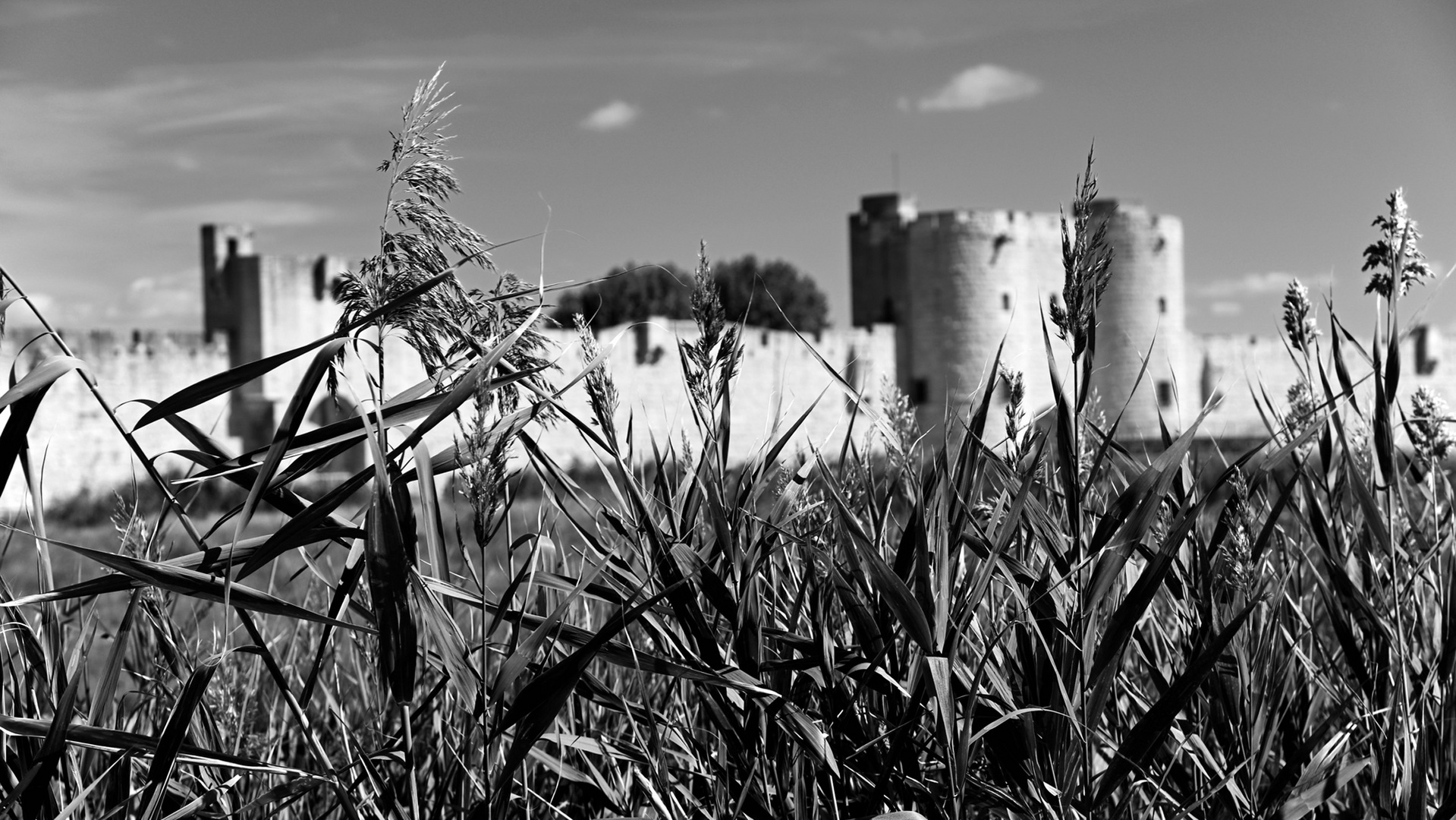 Aigues Mortes - Totes Wasser