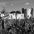 Aigues Mortes - Totes Wasser