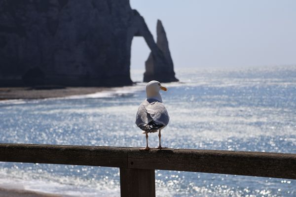 Aiguille de lÉtretat