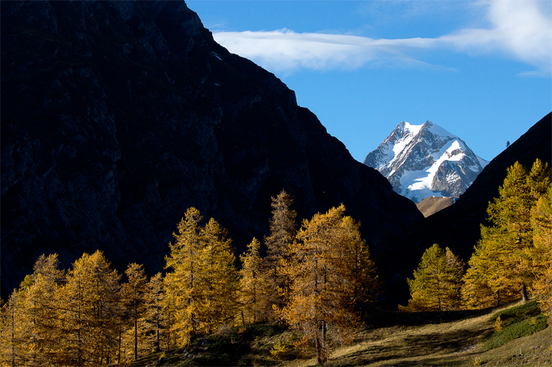 Aiguille de Trélatête.