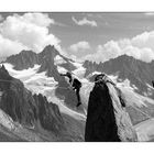 Aiguille des Grands Montets