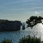  Aiguille d'Etretat